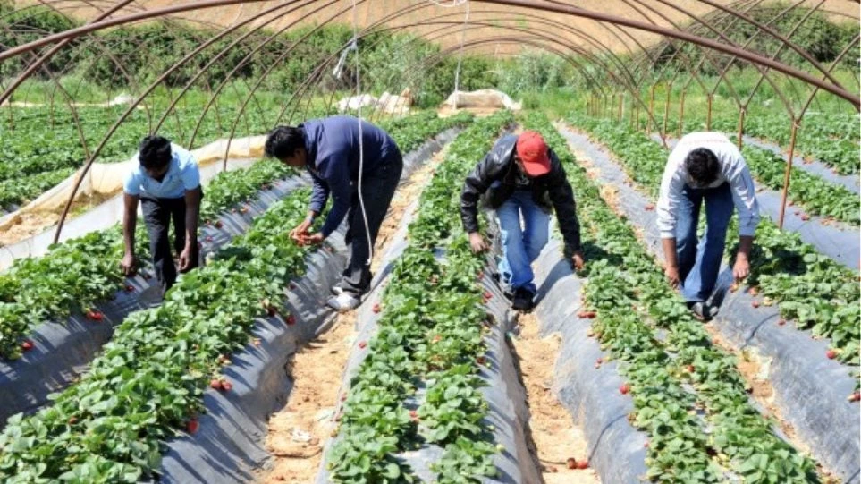 Μία… πόλη από αλλοδαπούς στην Κρήτη: 33.000 είναι μόνο οι νόμιμοι…